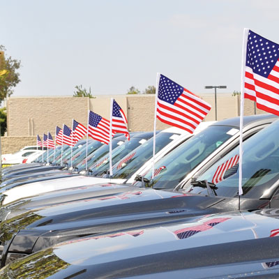 Antenna Flags