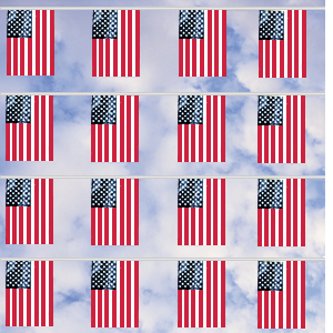 US Flag Pennant